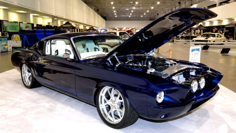 1967 Ford Mustang Fastback - "Code Blue"