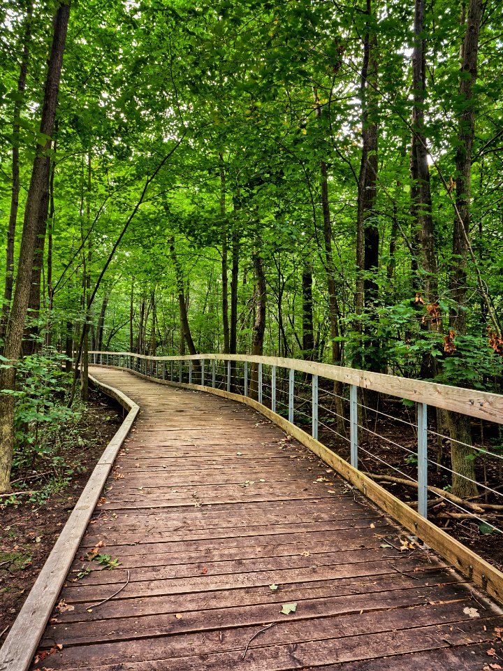Sawmill Creek Boardwalk