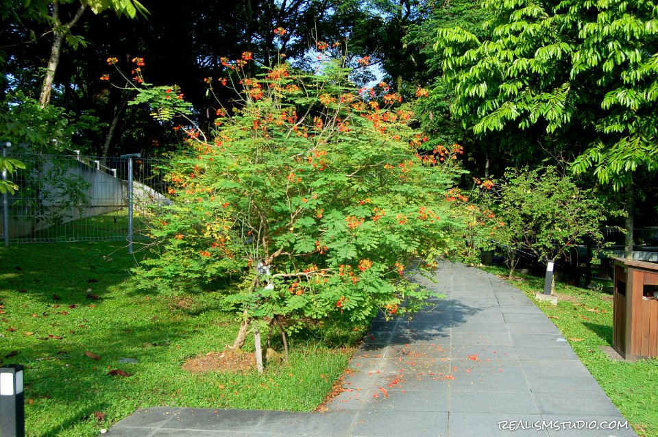 DSC 0058