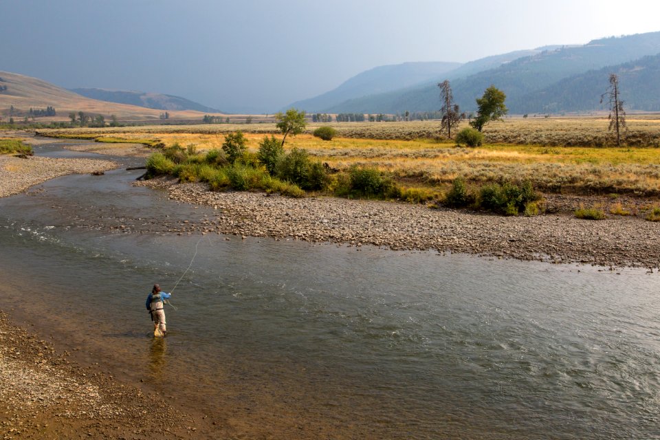 Fishing in the Lamar River