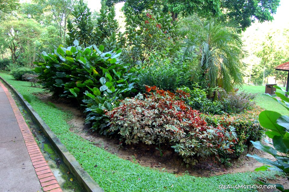 DSC 0062