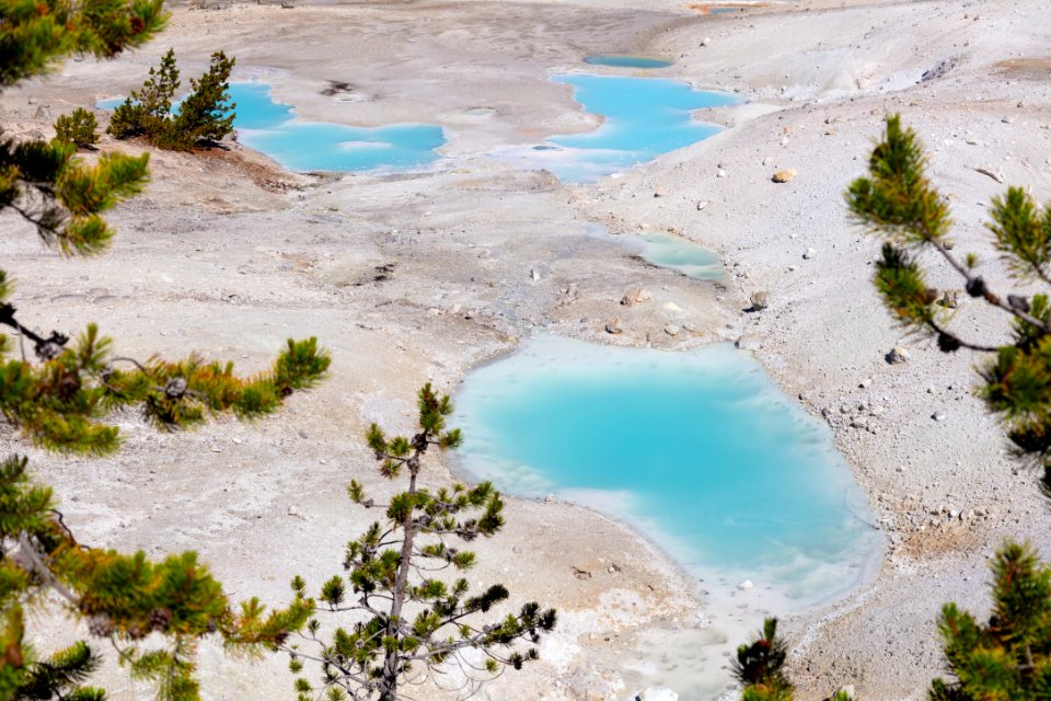 Colorful pools of Norris Geyser Basin