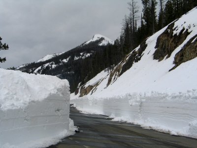 East Entrance Scenery headed back towards Lake (3)