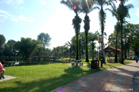 DSC 0195