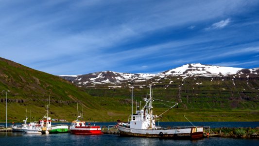 Fishing Boats