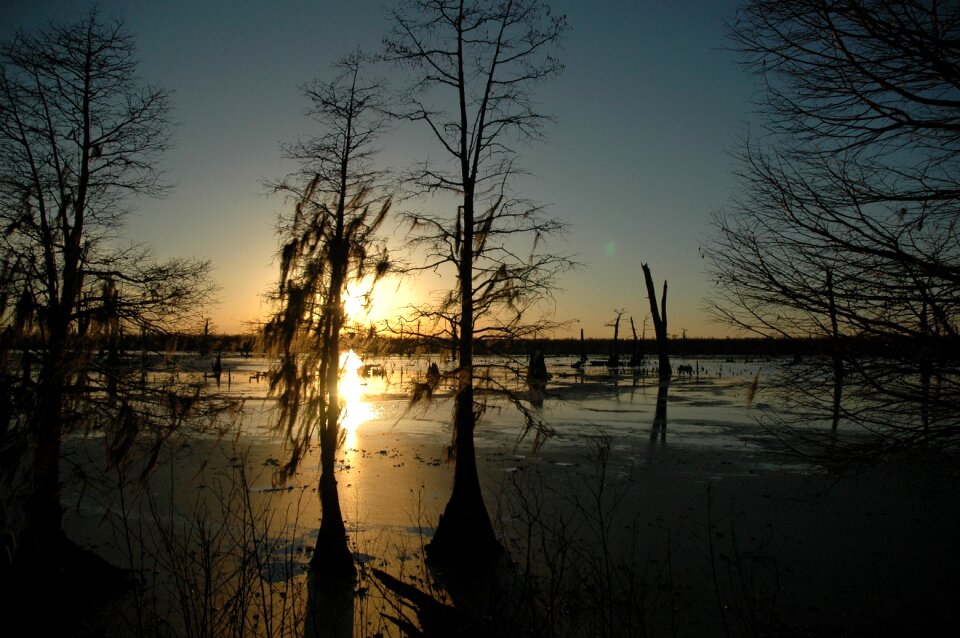 Sunset swamp louisiana
