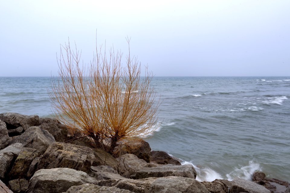 Lake Ontario shoreline