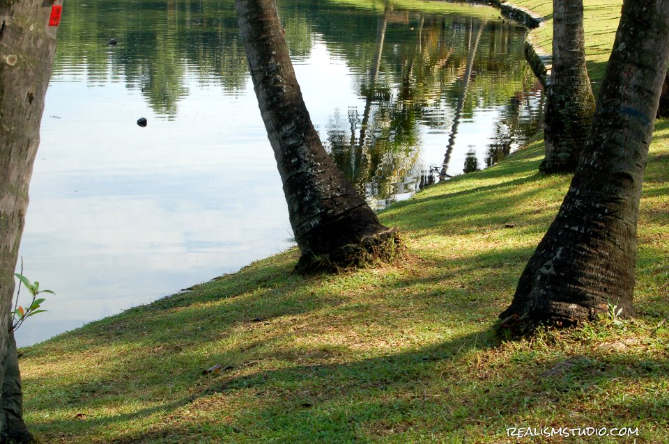 DSC 0225