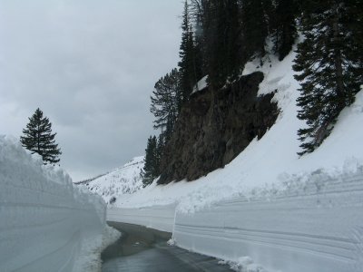 East Entrance Road towards Lake, Single Cut
