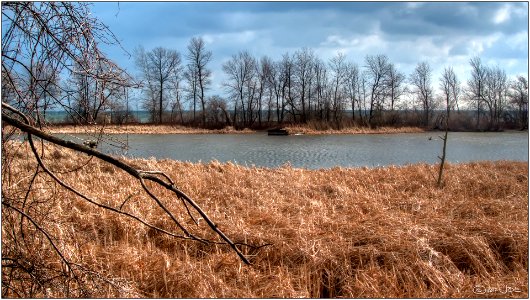 Rattray Marsh, Mississauga Ontario
