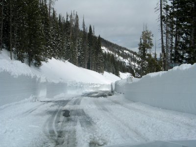 Before the snow melted on Sylvan Pass