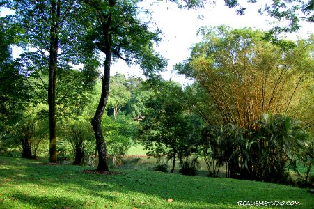 DSC 0059