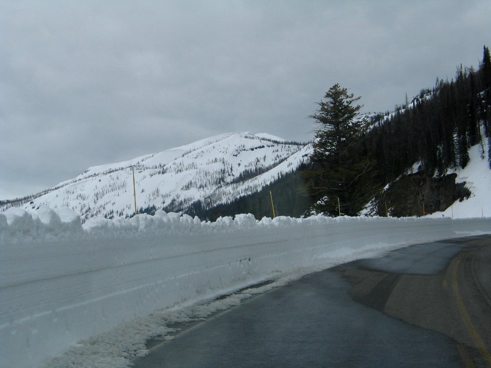 East Entrance Scenery headed back towards Lake (5)