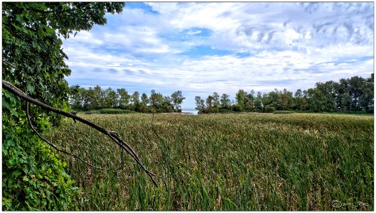 Rattray Marsh, Mississauga, Ontario