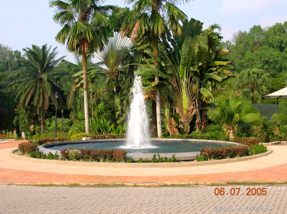 DSCN0445