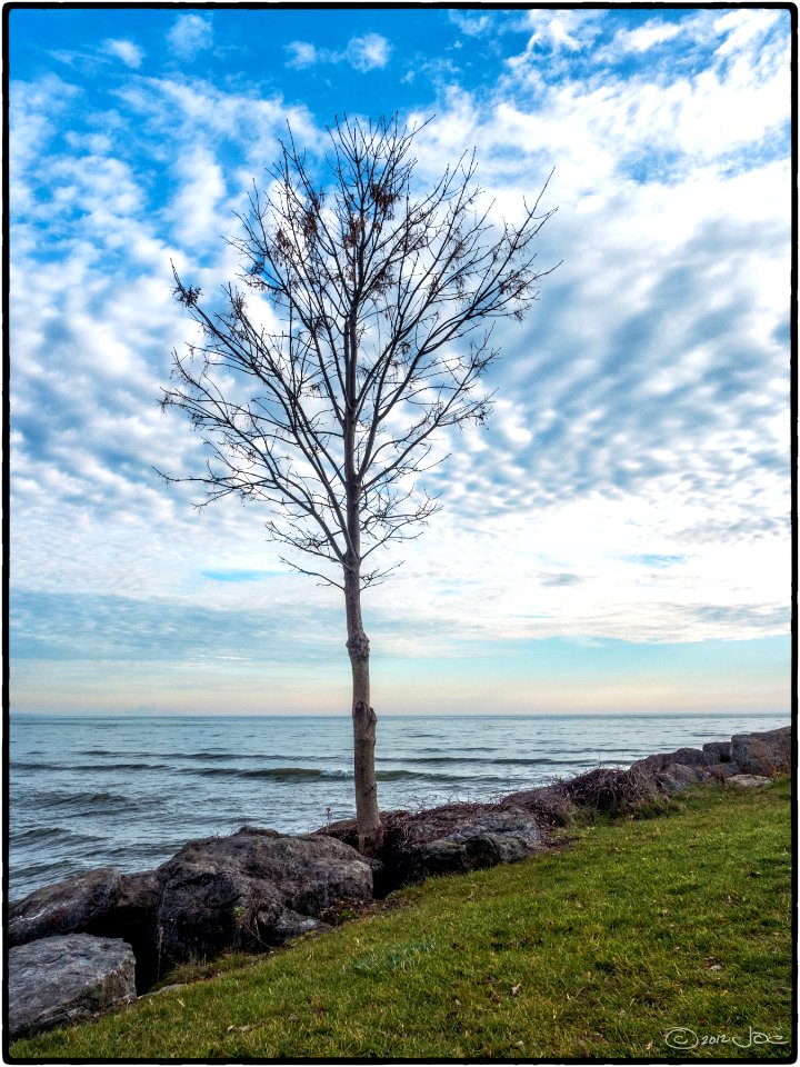 Lake Ontario Shoreline