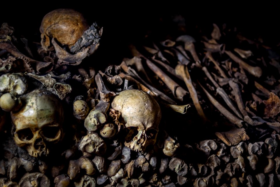 Residents of the catacombs of Paris