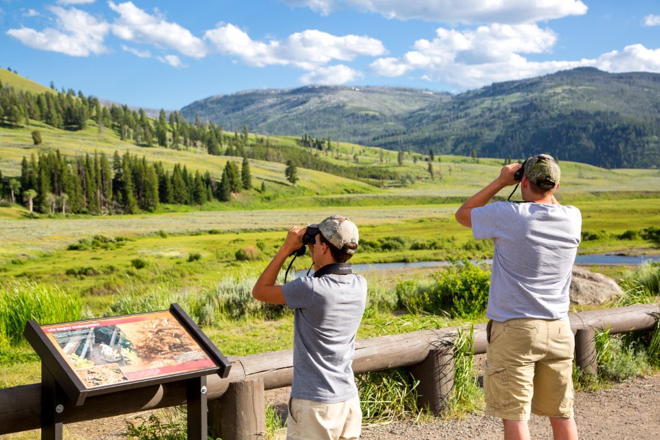 Watching for wildlife, Lamar Valley