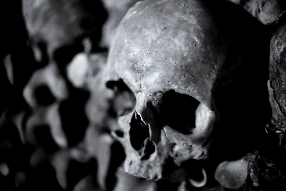 Human skull in the catacombs of Paris