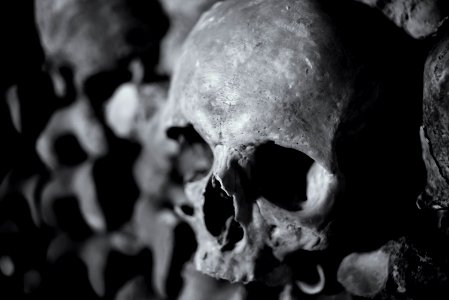 Human skull in the catacombs of Paris
