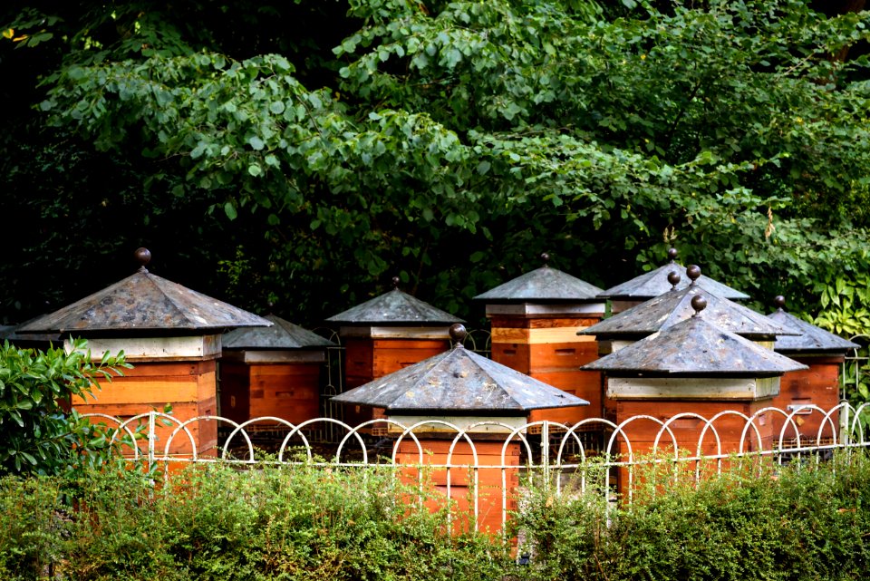 Apiary in the Luxembourg Gardens