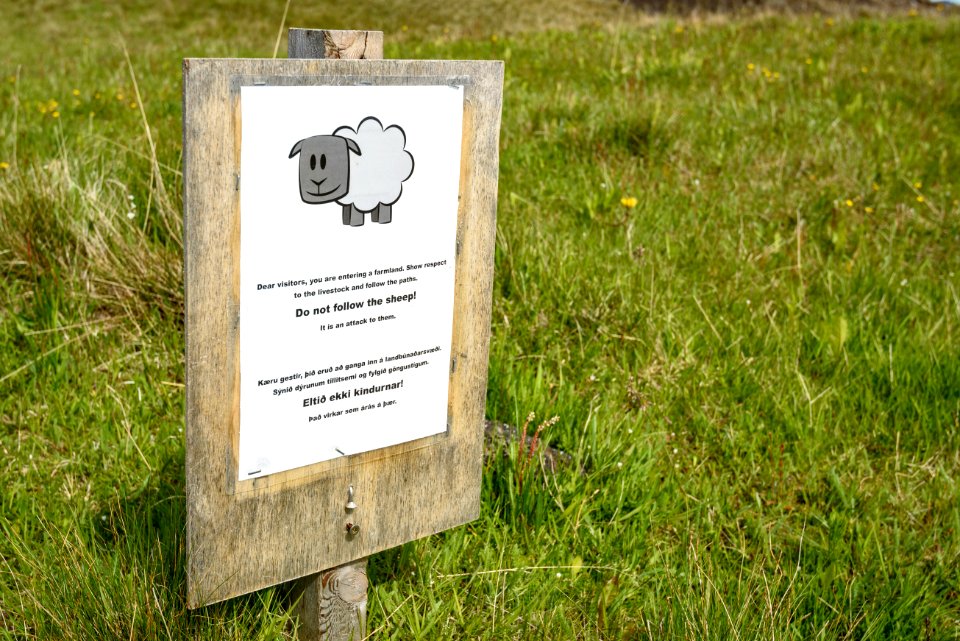 Don't annoy the sheep.