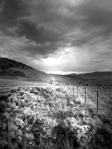 003 - CAMPSITE AT MEDICINE BOW MTS, WYOMING - BW