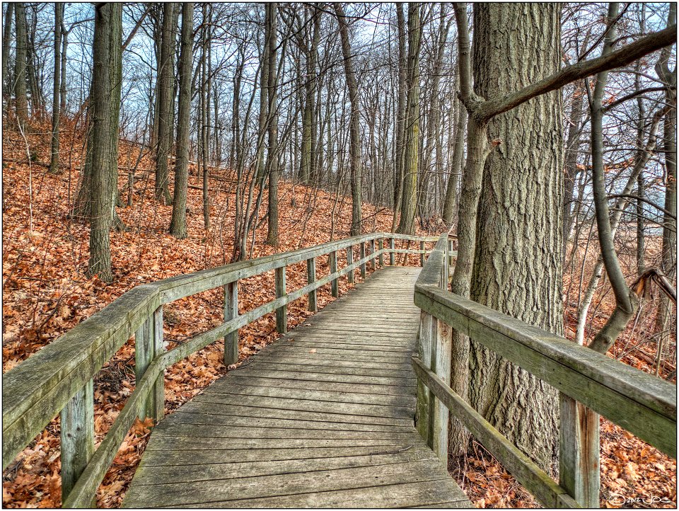 Boardwalk, Rattray Marsh, Mississauga
