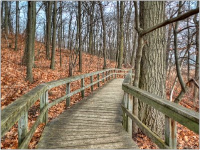Boardwalk, Rattray Marsh, Mississauga