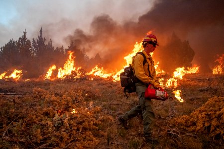 Trout Springs Rx Fire photo