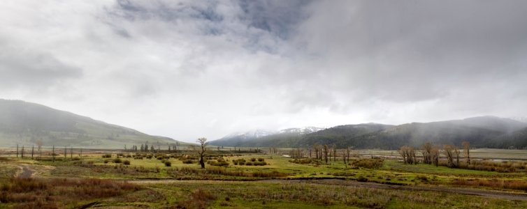 Snow squalls, Lamar Valley photo