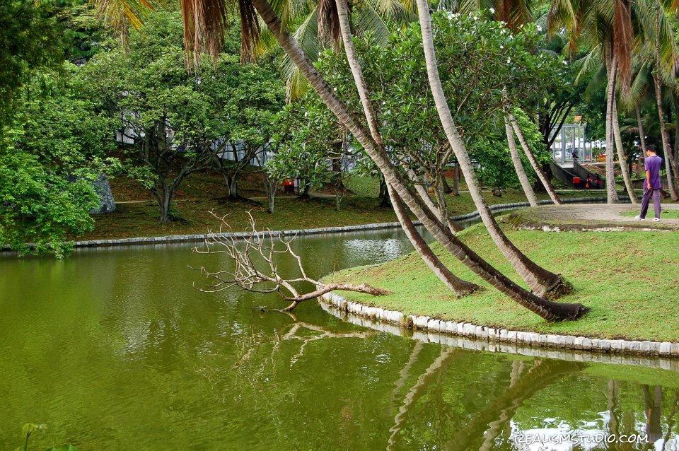DSC 0103
