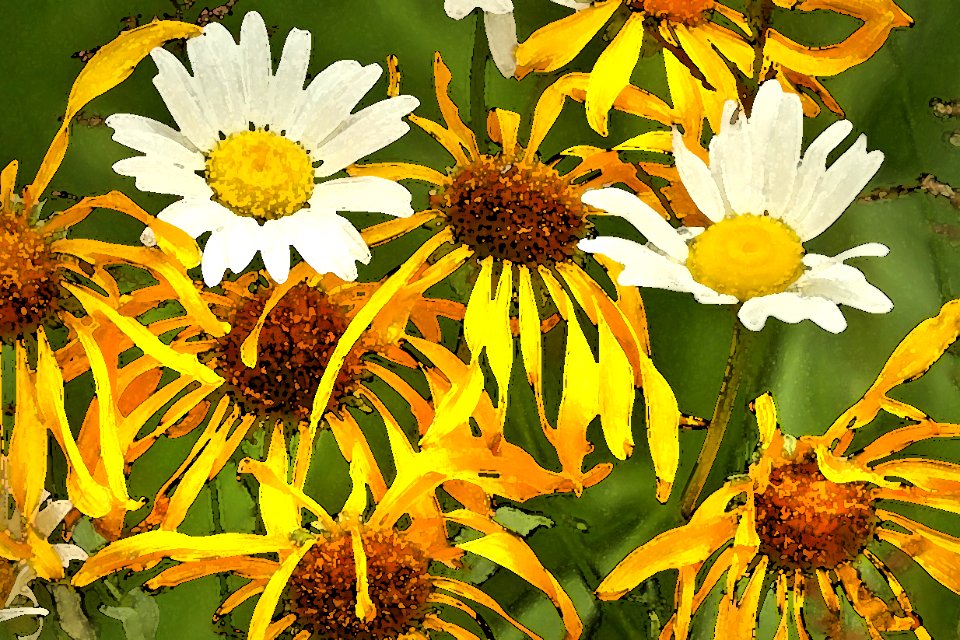 FLOWER (8-14-2019) 9100 ft, hannigan meadow, apache-sitgreaves nat for, greenlee co, az -03 PHOTOSHOP WATERCOLOR