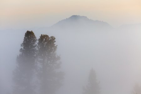 Morning fog, Blacktail Deer Plateau photo