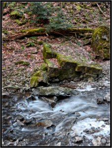 Tiffany Falls, Hamilton photo