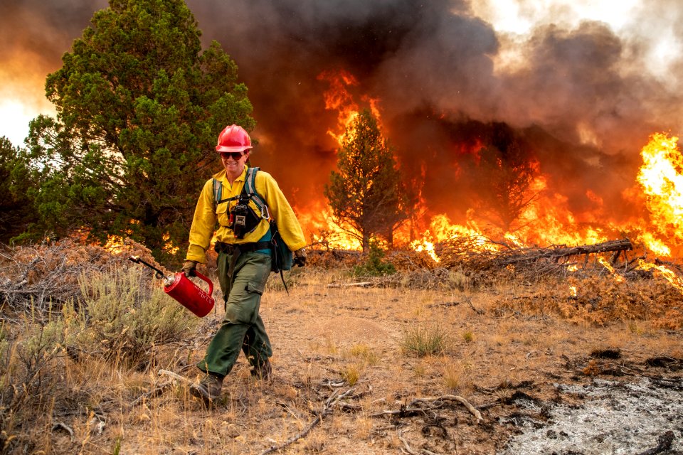 Trout Springs Rx Fire