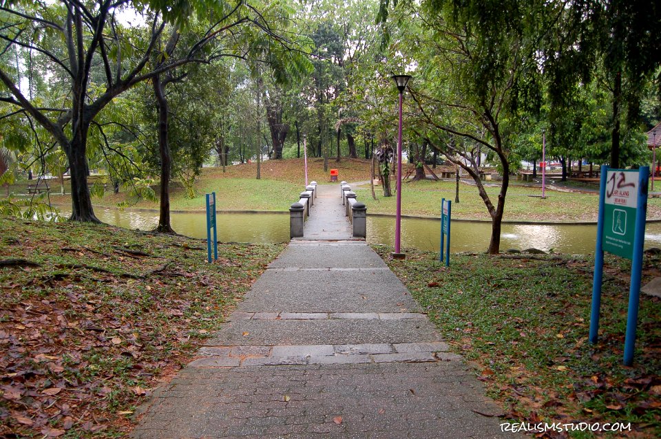 DSC 0020