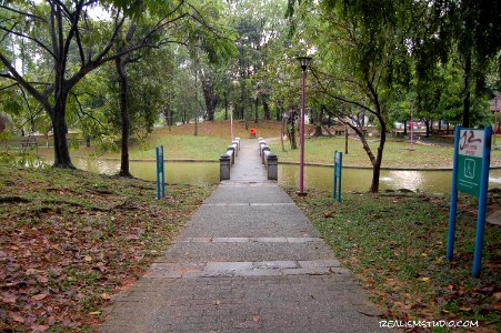 DSC 0020