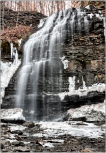 Tiffany Falls, Hamilton