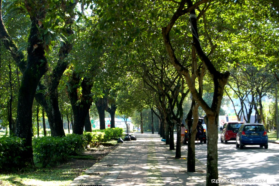 DSC 0212