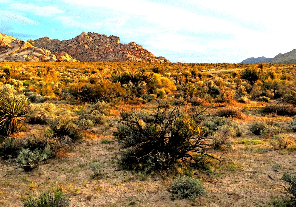 COVID 19 ESCAPE TRIP (4-6-2020)  am at campsite at granite mt, san bernadino co, ca -12 PHOTOSHOP WATERCOLOR