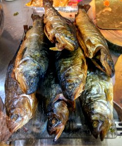 Fish at tal bagel on Carlebach street