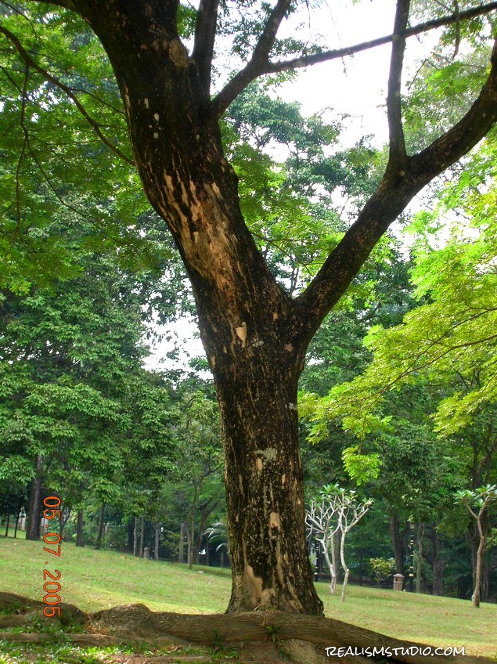 DSCN0435