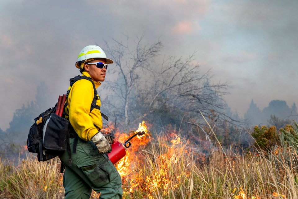 Blacklining the Trout Springs Rx Fire