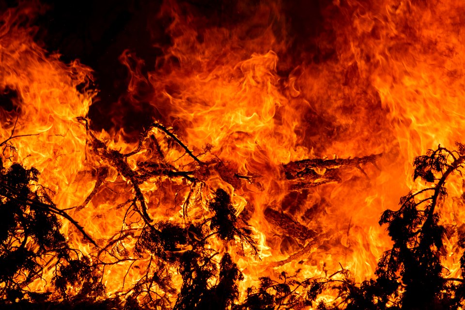 Trout Springs Rx Fire