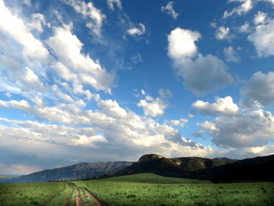 06 - WY (7-14-2019) dead indian pass campsite, just s-e of beartooth highway, wy -02 PHOTOSHOP WATERCOLOR