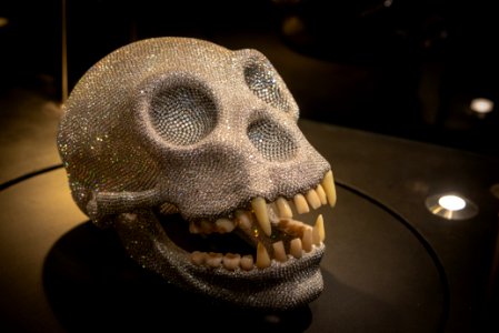 Diamond-encrusted Monkey Skull photo