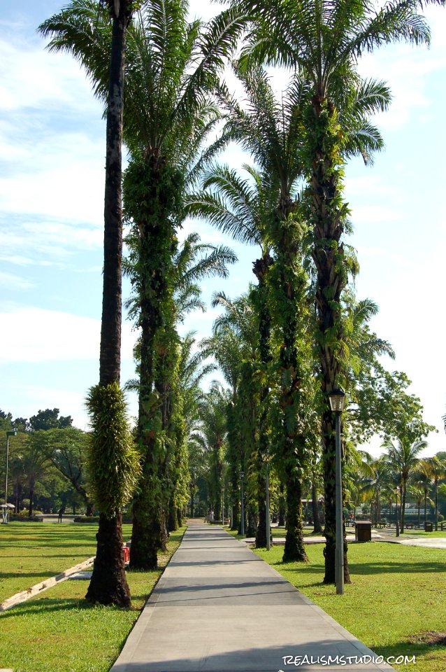 DSC 0200