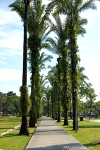 DSC 0200