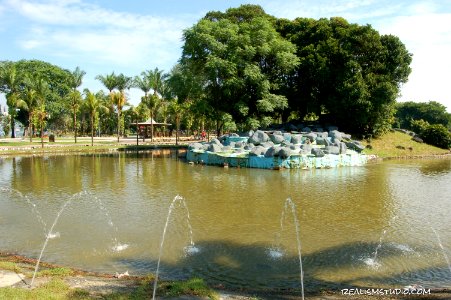 DSC 0220